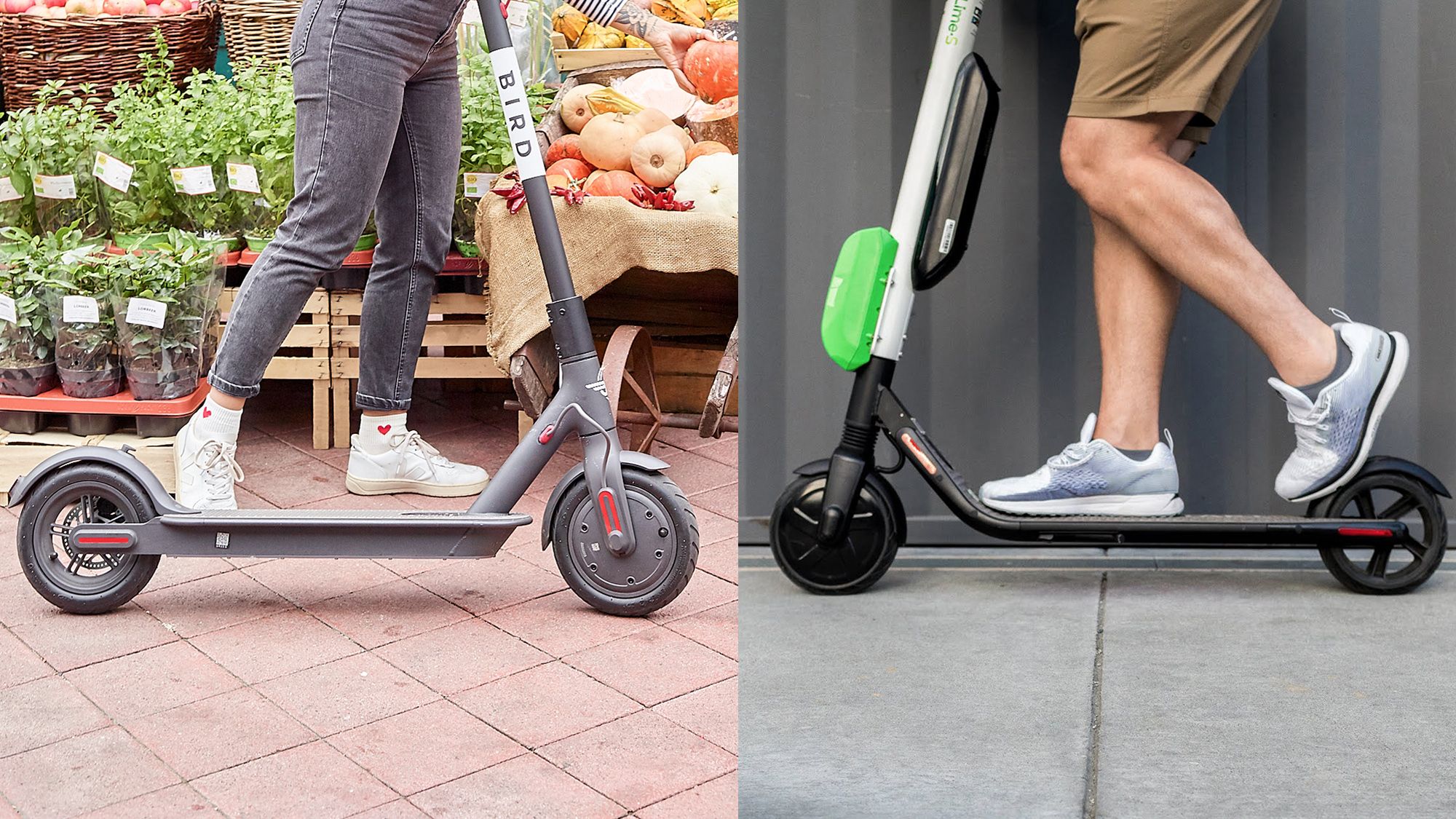 Top 5 most successful companies of electric kick scooter ride-sharing services